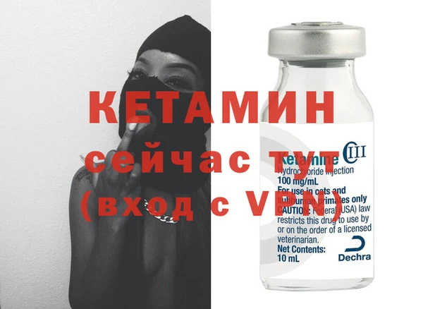 сатива Балахна